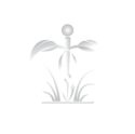 Harvest Health MD Logo